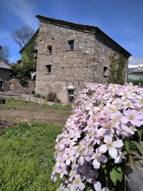 Il gufo